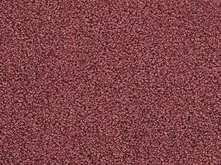Produktbild – Romance Veloursteppich 
