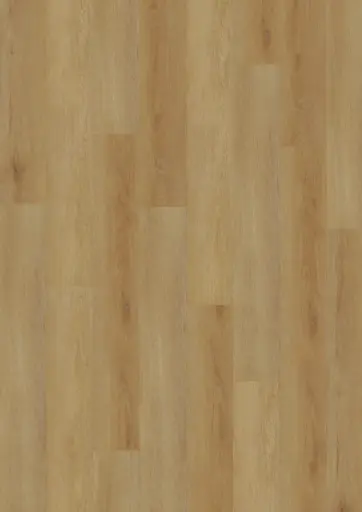 Produktbild – ECO Acoustic 55 Dryback Wood