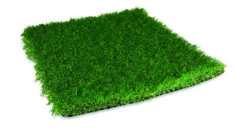 Produktbild – Rasenteppich Rainforest 30